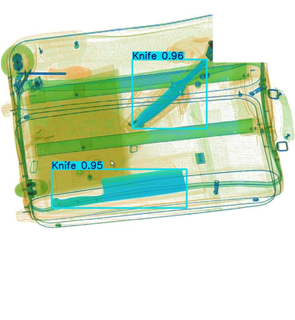 Detection preview by Segmentation_v8_large_300_train_300