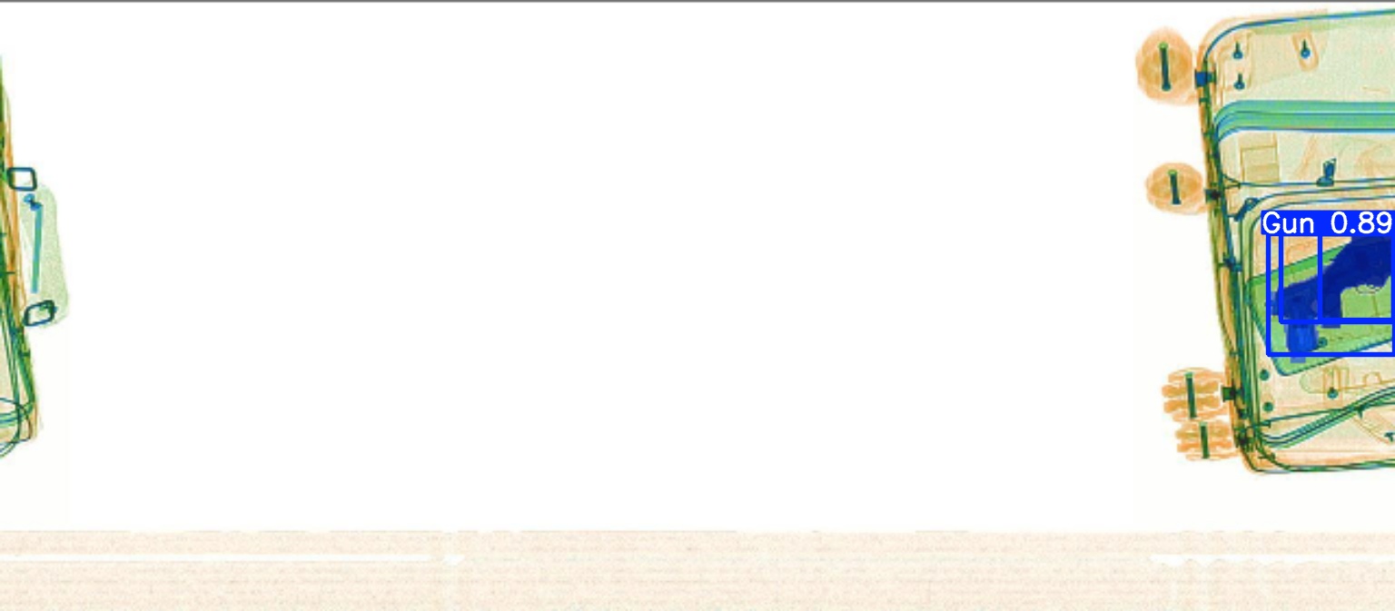 Detection preview by Segmentation_v8_large_300_train_300