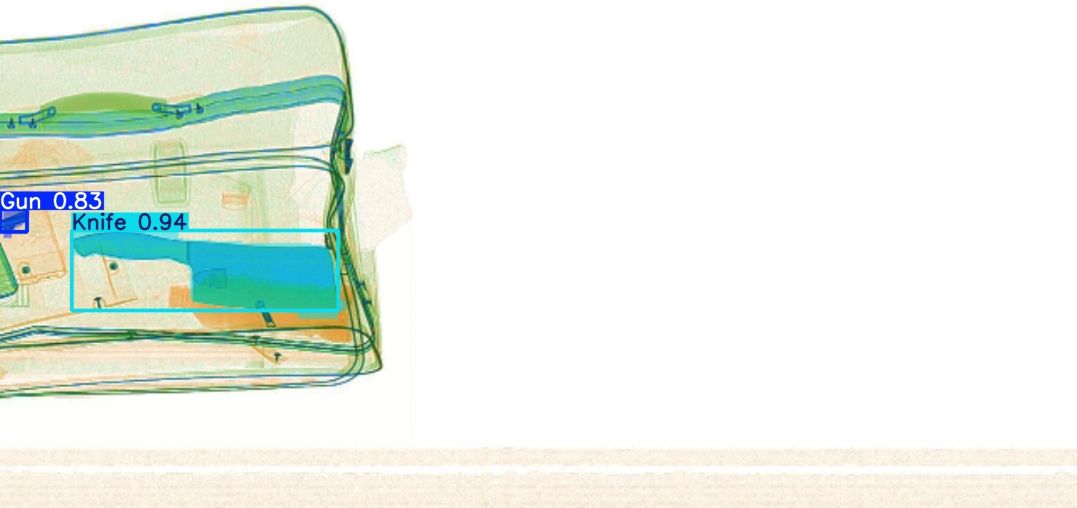 Detection preview by Segmentation_v8_large_300_train_300