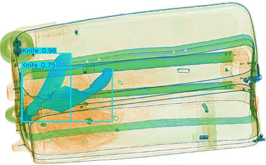 Detection preview by Segmentation_v8_large_300_train_300