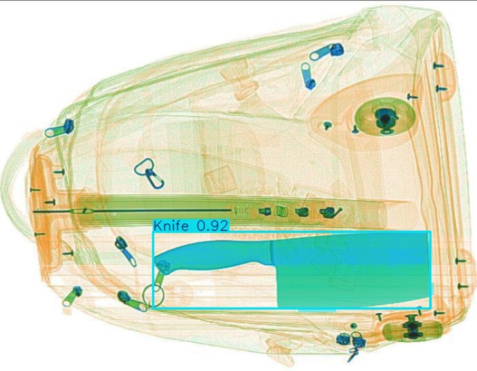 Detection preview by Segmentation_v8_large_300_train_300