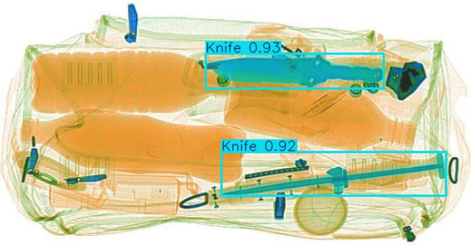 Detection preview by Segmentation_v8_large_300_train_300