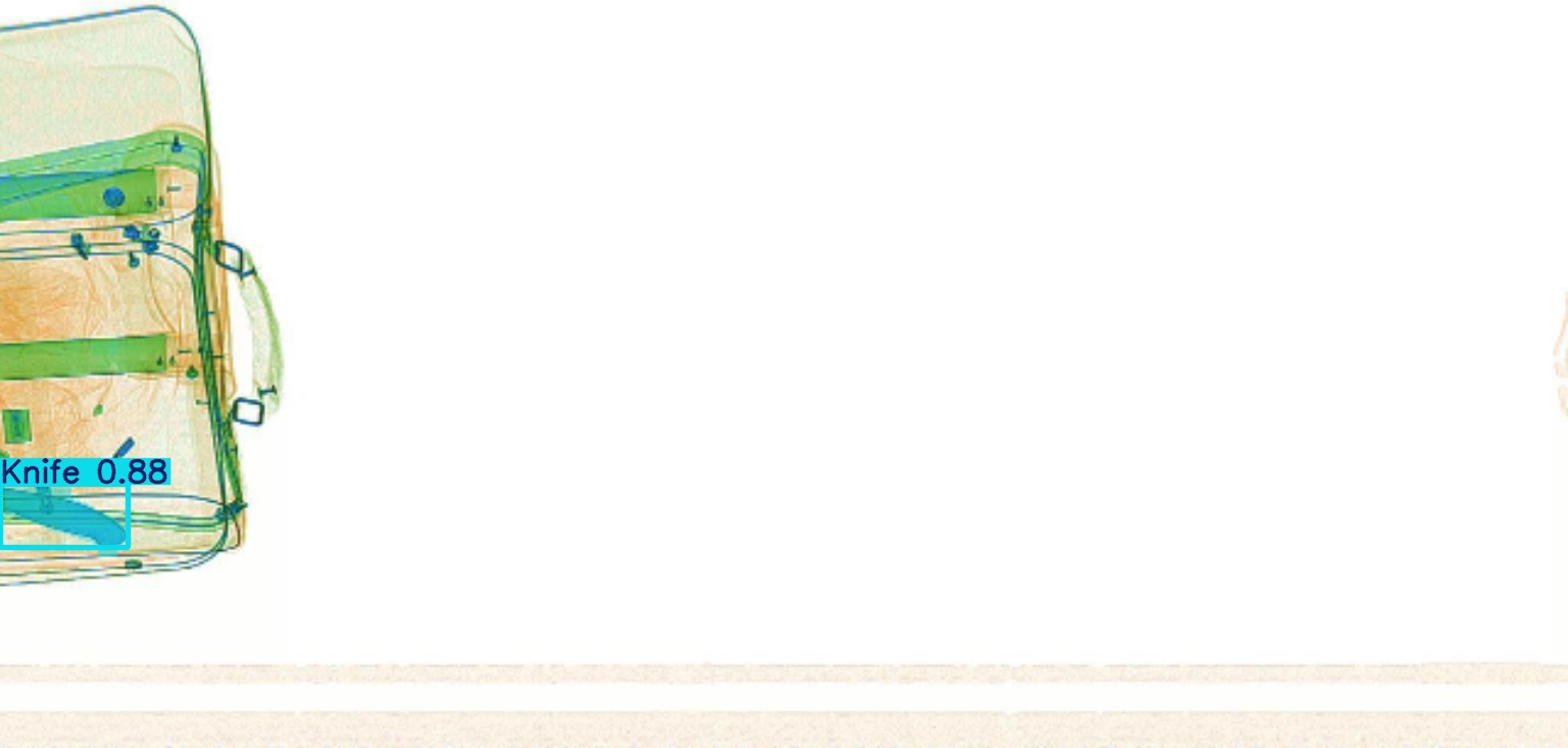 Detection preview by Segmentation_v8_large_300_train_300