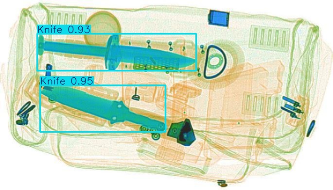 Detection preview by Segmentation_v8_large_300_train_300