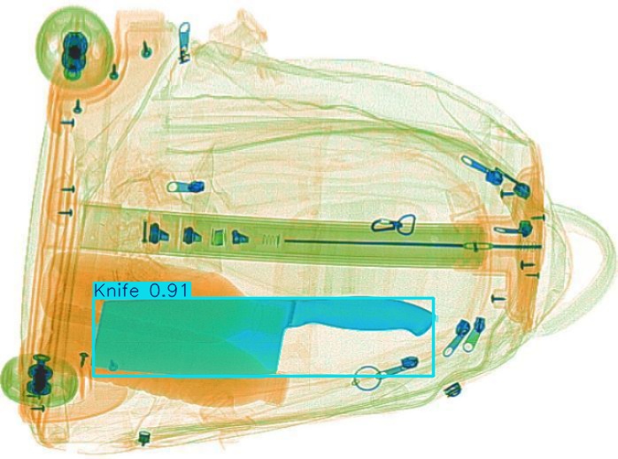 Detection preview by Segmentation_v8_large_300_train_300