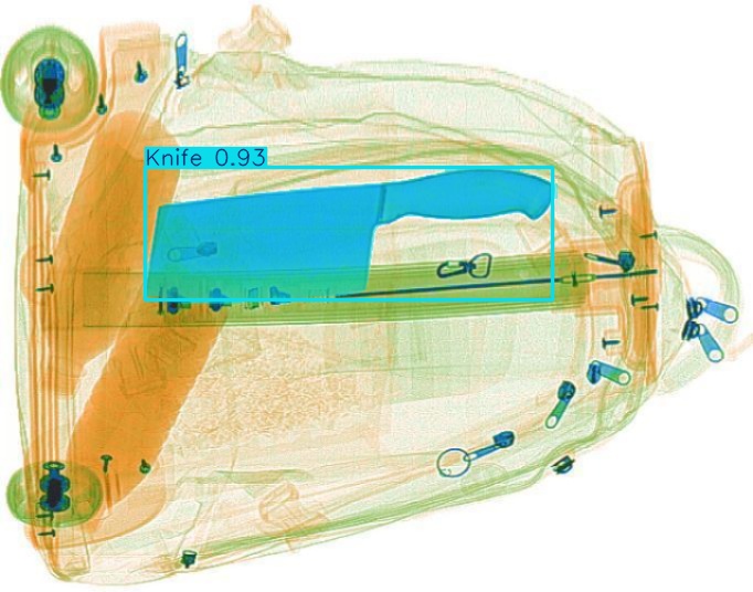 Detection preview by Segmentation_v8_large_300_train_300