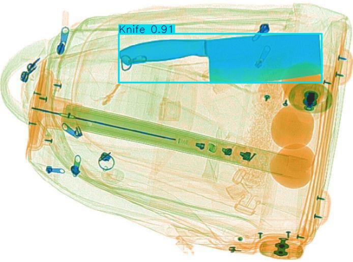 Detection preview by Segmentation_v8_large_300_train_300