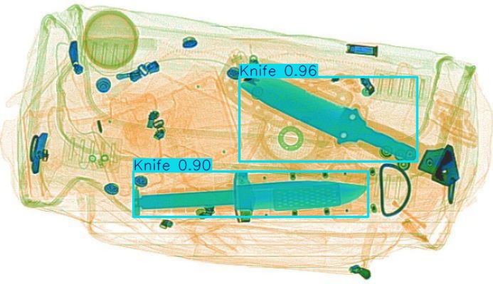 Detection preview by Segmentation_v8_large_300_train_300