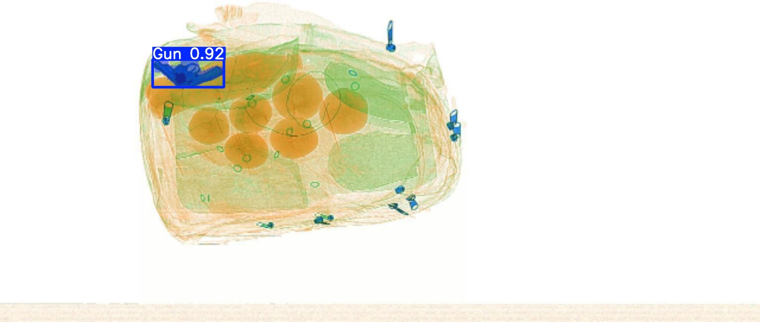 Detection preview by Segmentation_v8_large_300_train_300