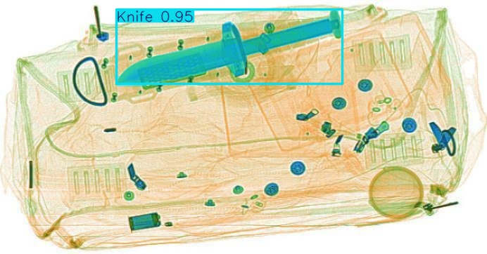 Detection preview by Segmentation_v8_large_300_train_300