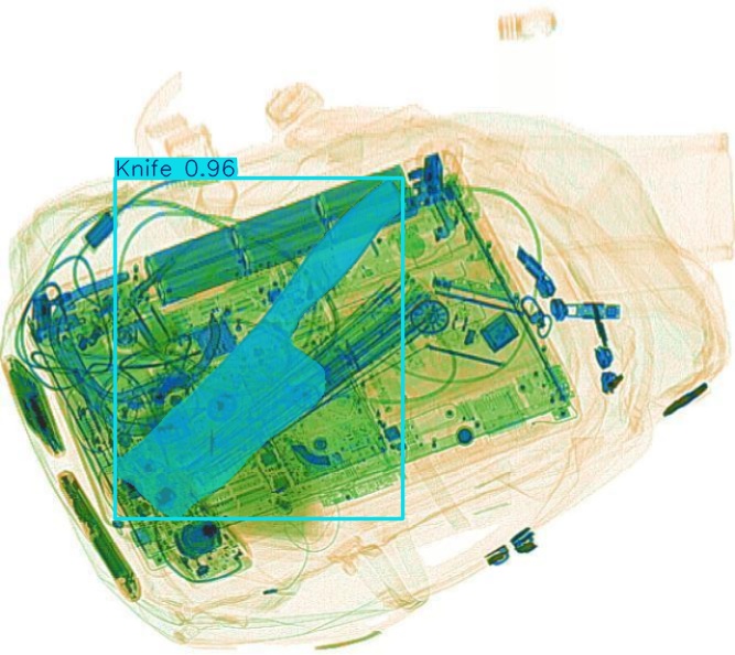 Detection preview by Segmentation_v8_large_300_train_300