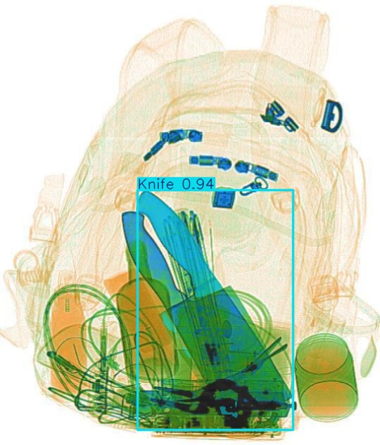 Detection preview by Segmentation_v8_large_300_train_300