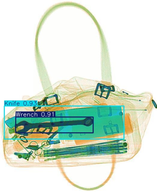 Detection preview by Segmentation_v8_large_300_train_300