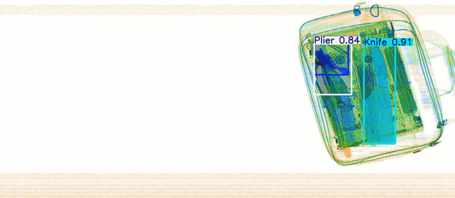 Detection preview by Segmentation_v8_large_300_train_300