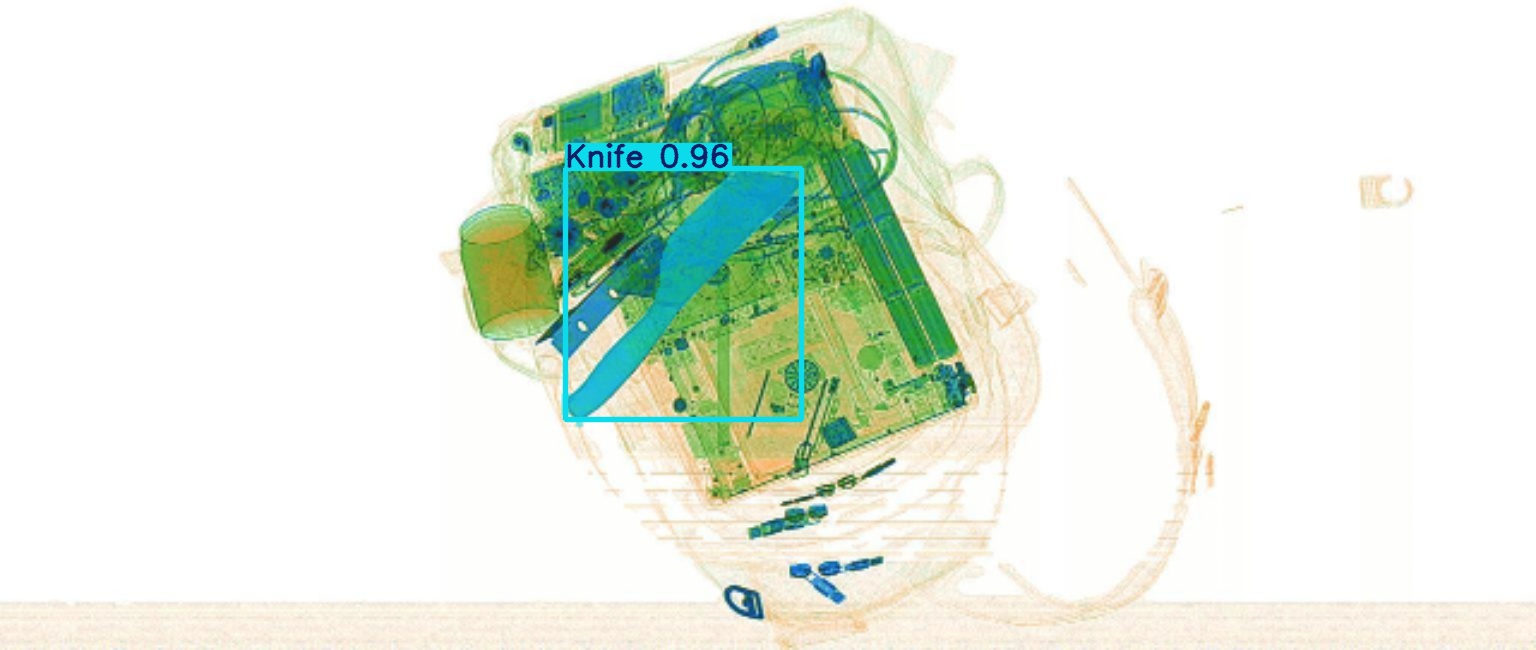 Detection preview by Segmentation_v8_large_300_train_300