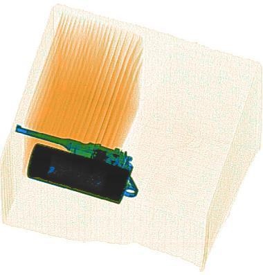 Detection preview by Segmentation_v8_large_300_train_300