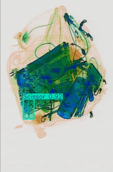 Detection preview by Segmentation_v8_large_300_train_300