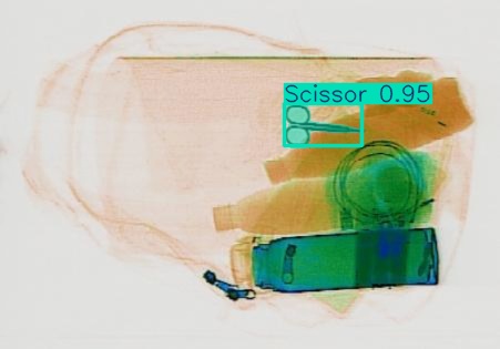 Detection preview by Segmentation_v8_large_300_train_300