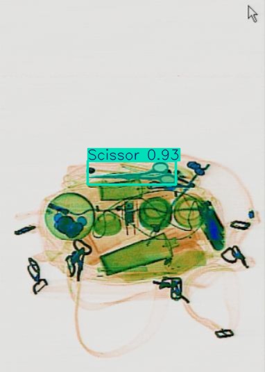 Detection preview by Segmentation_v8_large_300_train_300