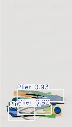 Detection preview by Segmentation_v8_large_300_train_300