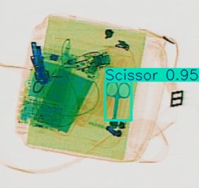 Detection preview by Segmentation_v8_large_300_train_300