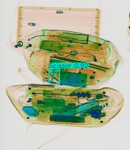 Detection preview by Segmentation_v8_large_300_train_300