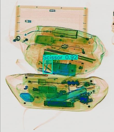 Detection preview by Segmentation_v8_large_300_train_300