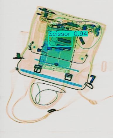 Detection preview by Segmentation_v8_large_300_train_300