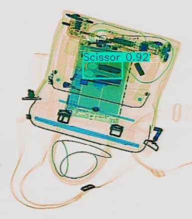 Detection preview by Segmentation_v8_large_300_train_300