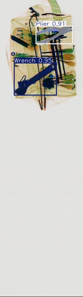 Detection preview by Segmentation_v8_large_300_train_300