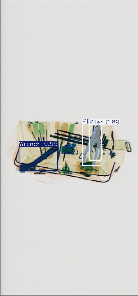 Detection preview by Segmentation_v8_large_300_train_300