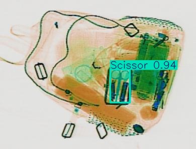 Detection preview by Segmentation_v8_large_300_train_300