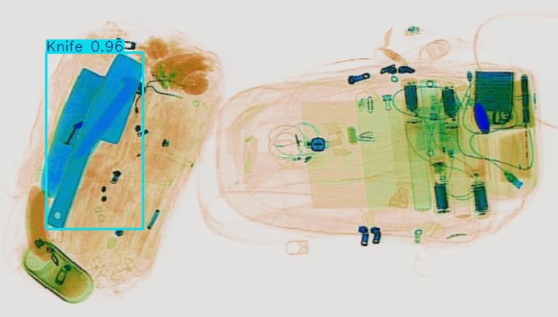 Detection preview by Segmentation_v8_large_300_train_300