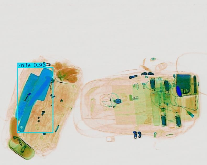 Detection preview by Segmentation_v8_large_300_train_300