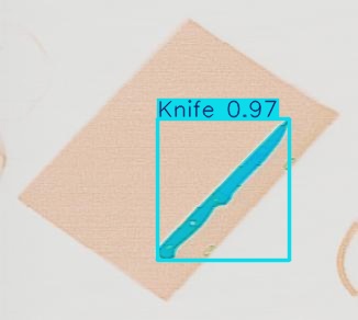 Detection preview by Segmentation_v8_large_300_train_300