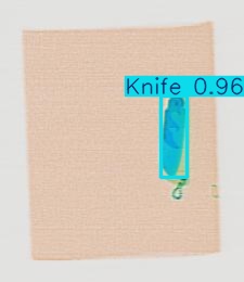 Detection preview by Segmentation_v8_large_300_train_300