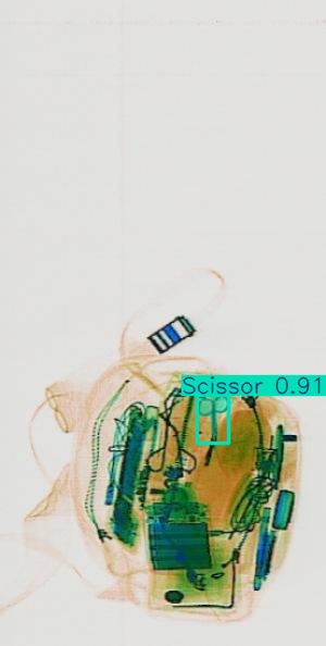 Detection preview by Segmentation_v8_large_300_train_300