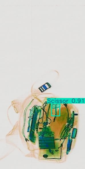 Detection preview by Segmentation_v8_large_300_train_300