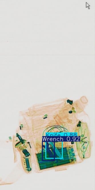 Detection preview by Segmentation_v8_large_300_train_300