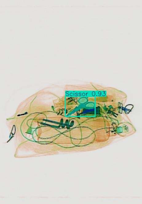 Detection preview by Segmentation_v8_large_300_train_300