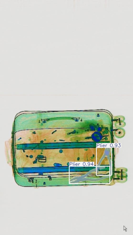 Detection preview by Segmentation_v8_large_300_train_300