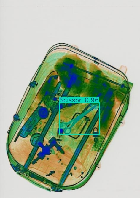 Detection preview by Segmentation_v8_large_300_train_300