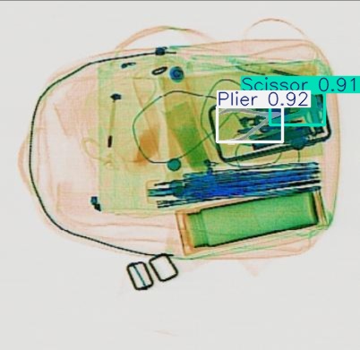 Detection preview by Segmentation_v8_large_300_train_300