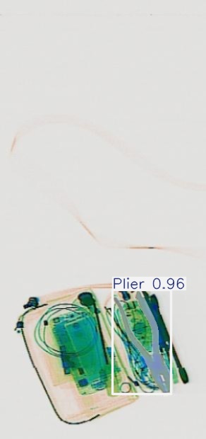 Detection preview by Segmentation_v8_large_300_train_300