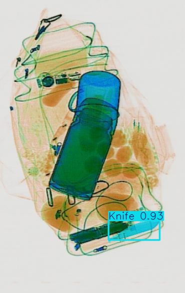 Detection preview by Segmentation_v8_large_300_train_300