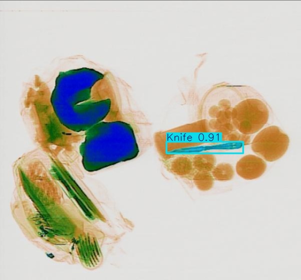 Detection preview by Segmentation_v8_large_300_train_300