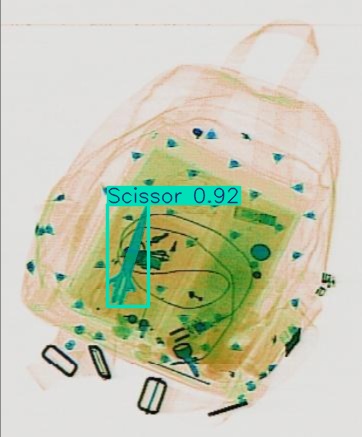 Detection preview by Segmentation_v8_large_300_train_300