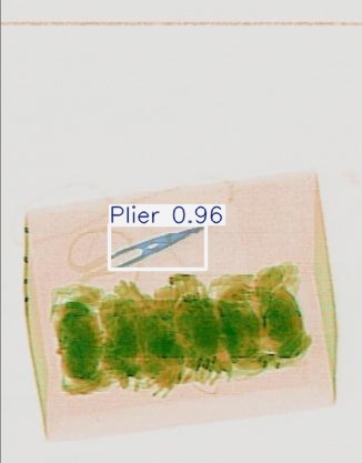 Detection preview by Segmentation_v8_large_300_train_300