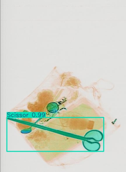 Detection preview by Segmentation_v8_large_300_train_300