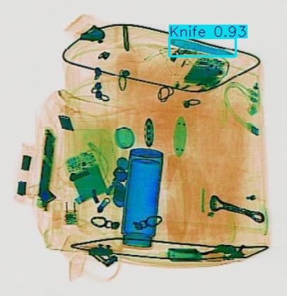 Detection preview by Segmentation_v8_large_300_train_300